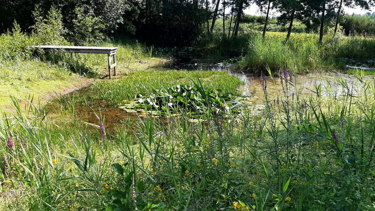 Kievit Villa Appelscha Exteriör bild