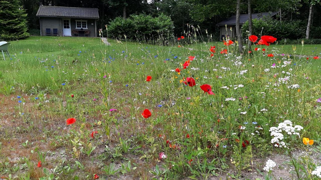 Kievit Villa Appelscha Exteriör bild