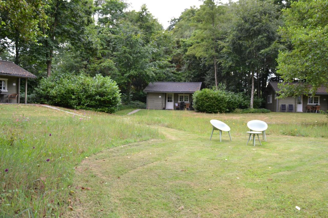 Kievit Villa Appelscha Exteriör bild